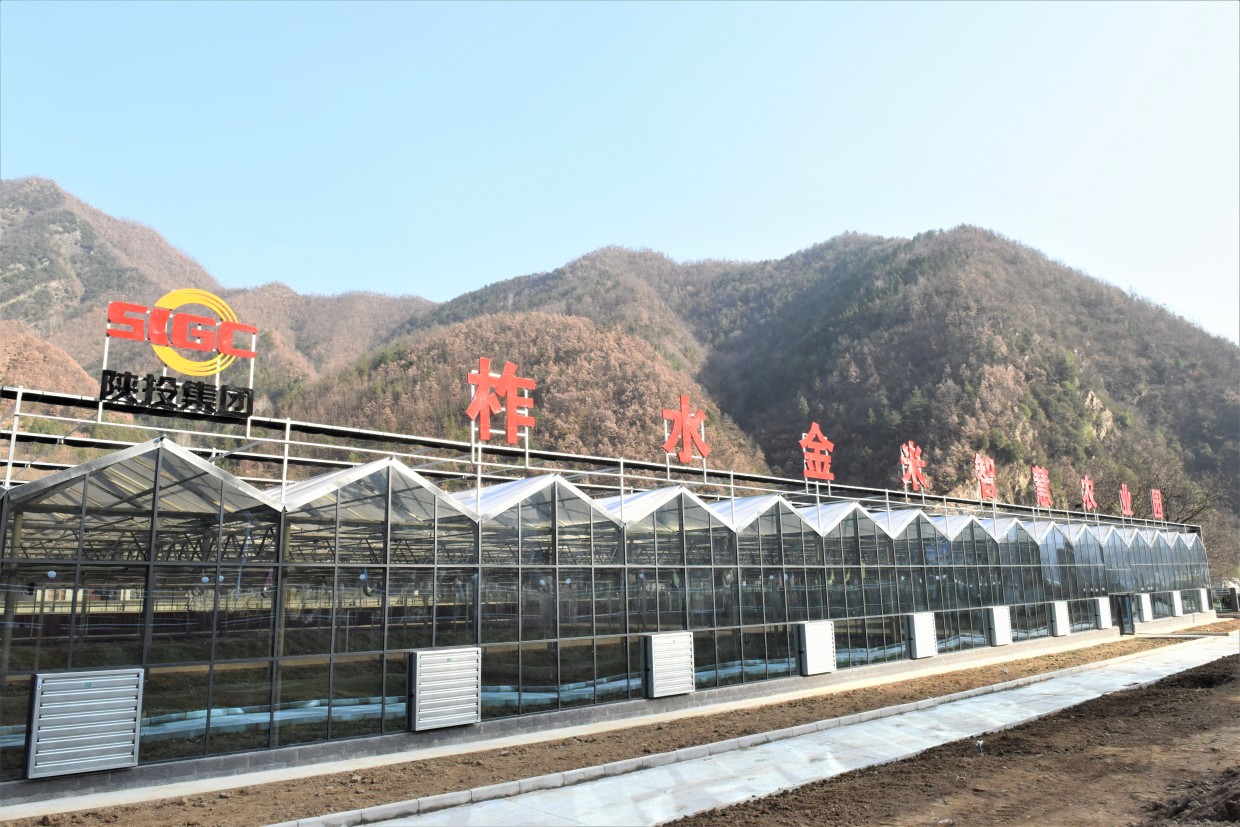 20221209656177.jpg 20221209656177.jpg