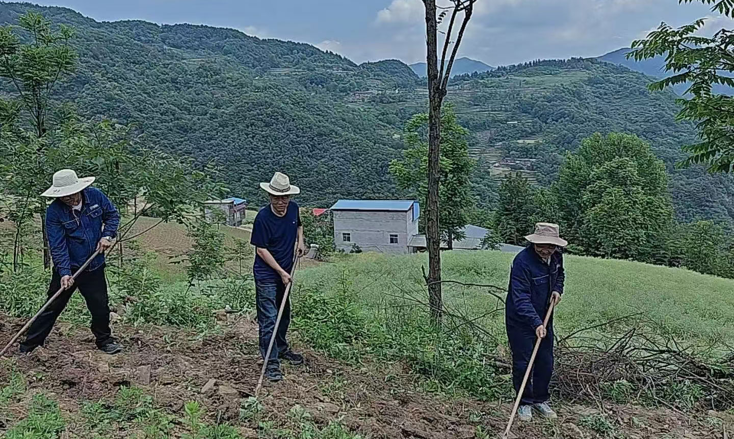 ������Ե-�ٷ���վ - ��ҳ