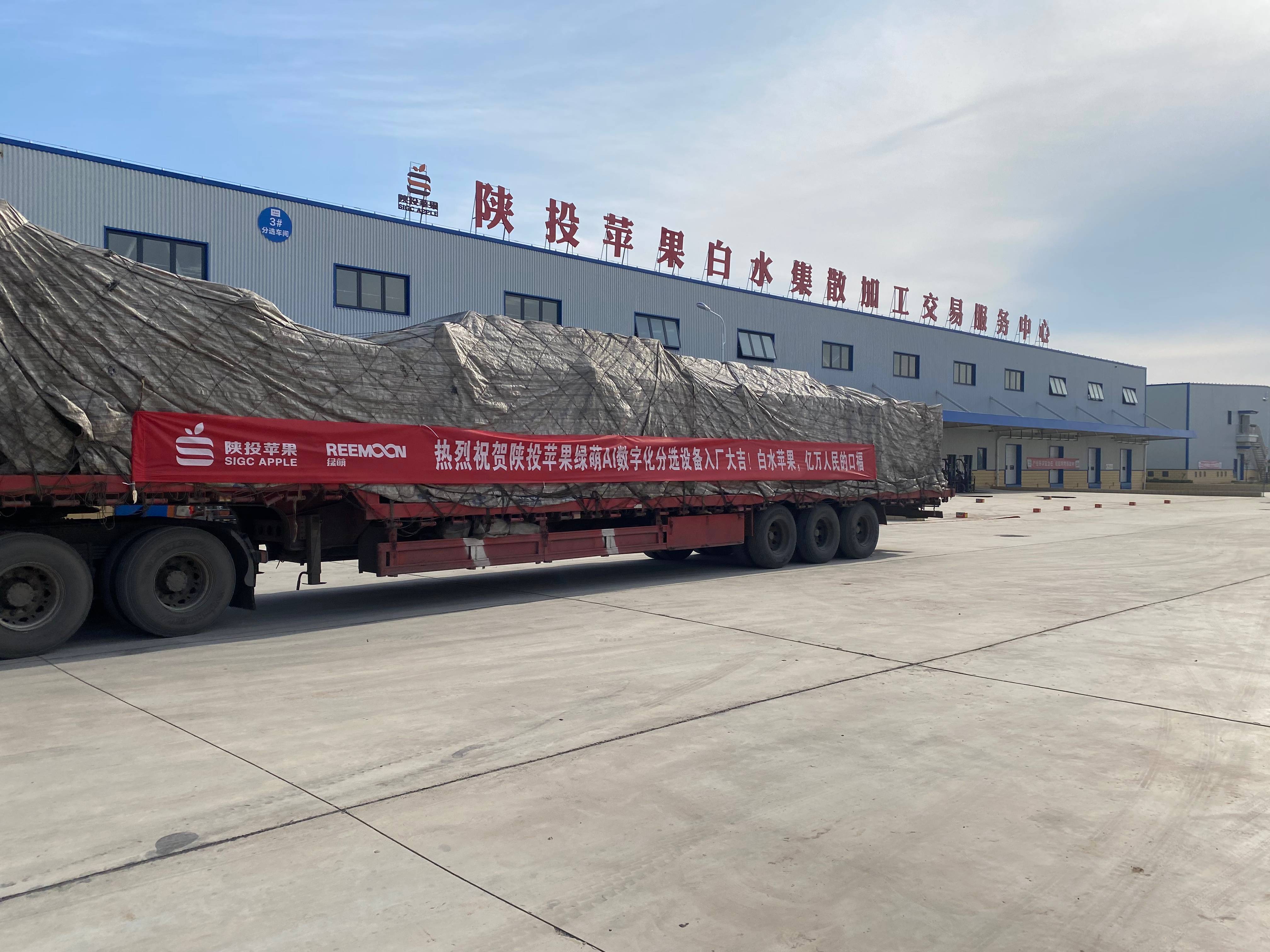 20241206547437.jpg 20241206547437.jpg